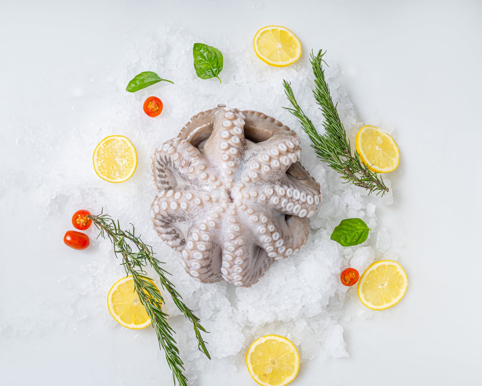 Octopus-Flower-FMID-193_